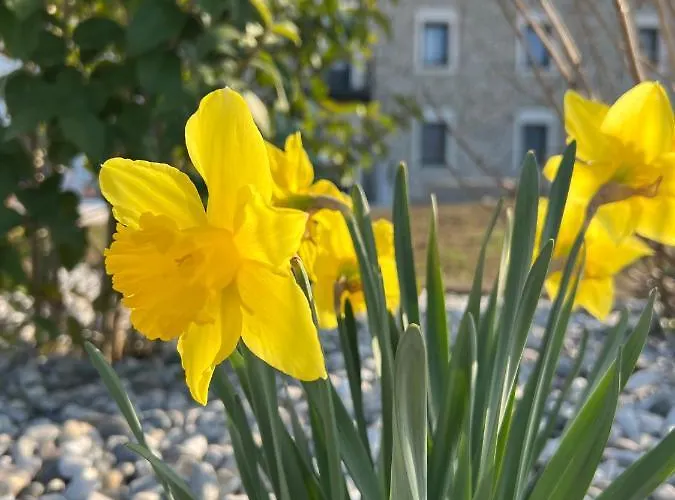 Atmosfere Charme & Country Vendégház